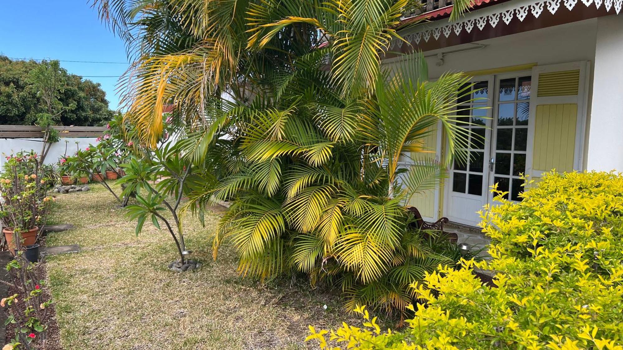 Chez Gilou Apartment Riviere Saint-Louis Exterior foto
